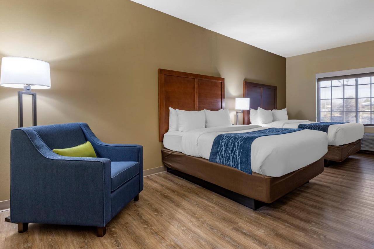 Standard Queen Room with Two Queen Beds - Non-Smoking at Comfort Inn & Suites High Point - Archdale