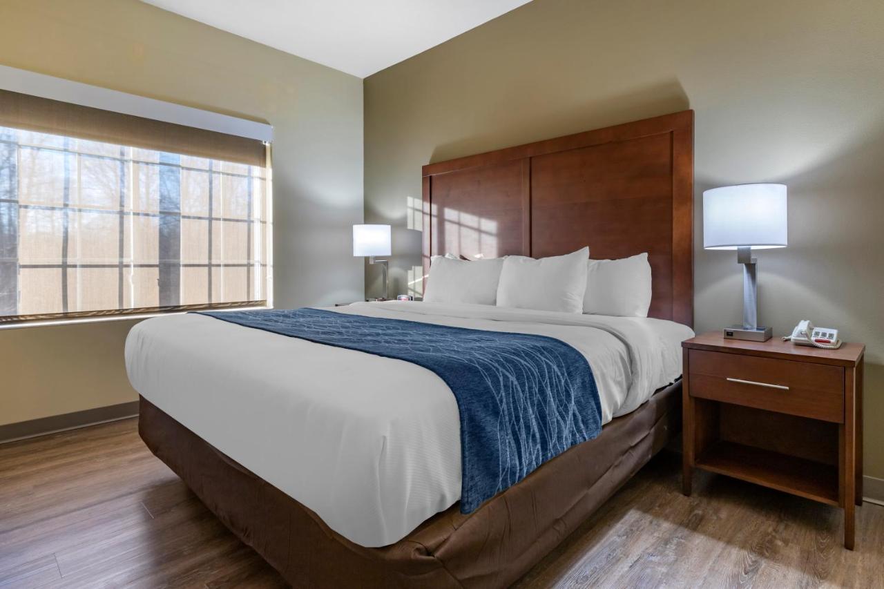 One-Bedroom King Suite - Non-Smoking at Comfort Inn & Suites High Point - Archdale