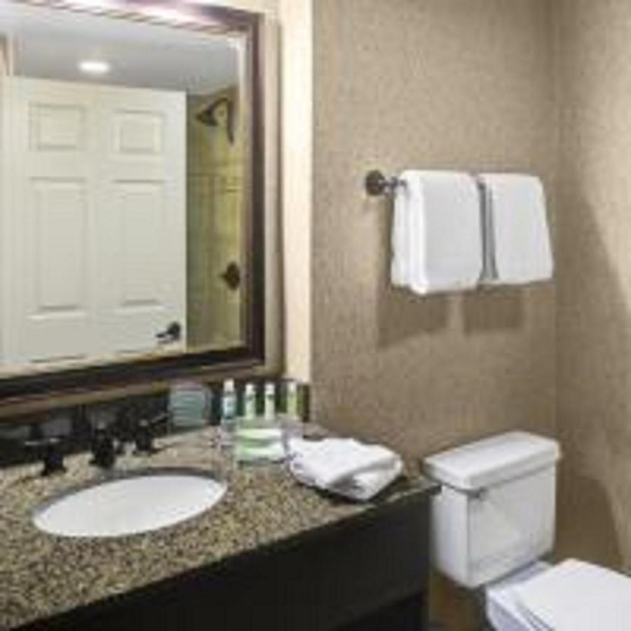 Suite - Mobility Access Roll in Shower/Non-Smoking at Holiday Inn Express & Suites Atlanta Buckhead by IHG