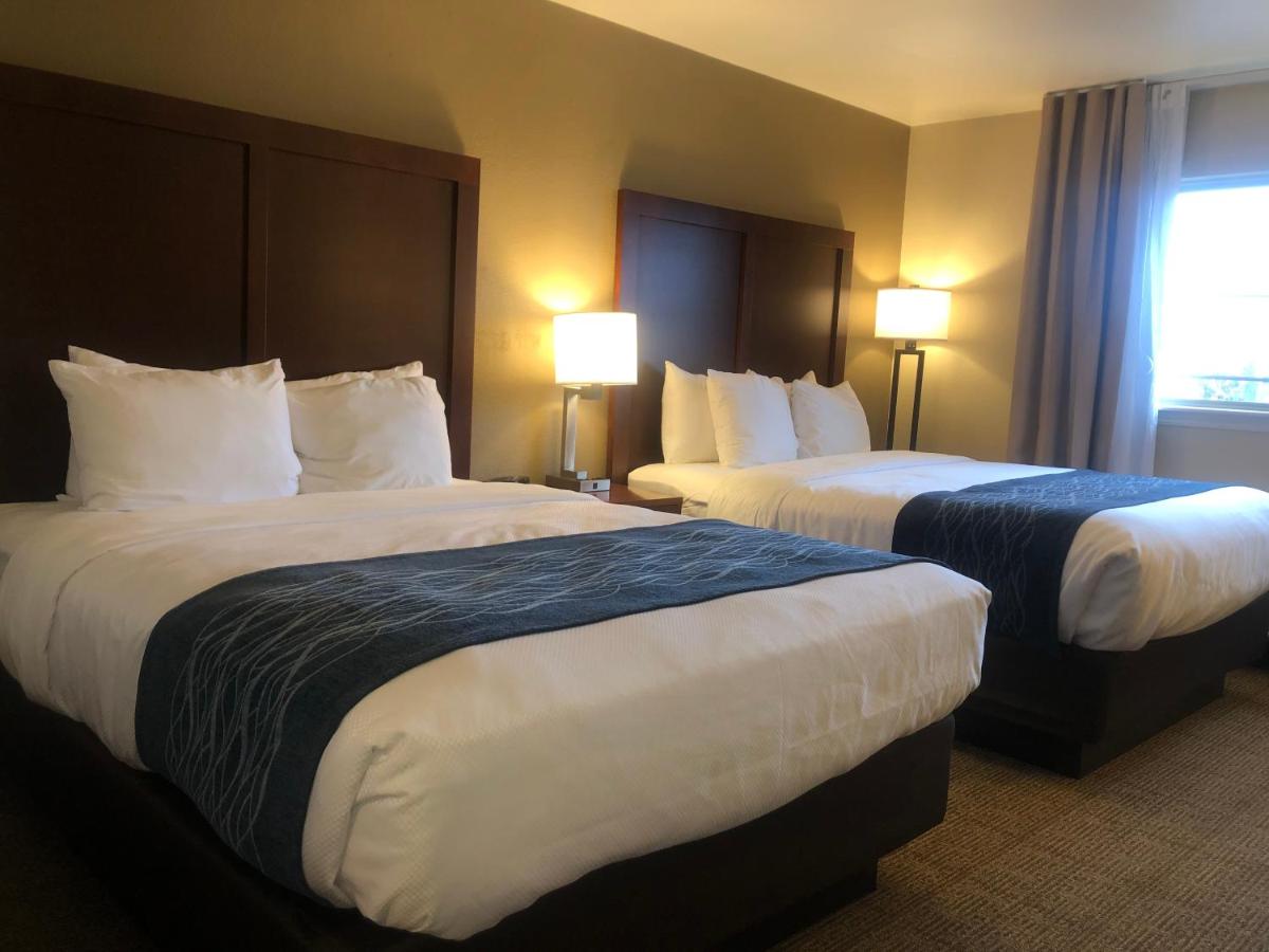 Queen Room with Two Queen Beds - Accessible/Non-Smoking at Comfort Inn & Suites Ukiah Mendocino County