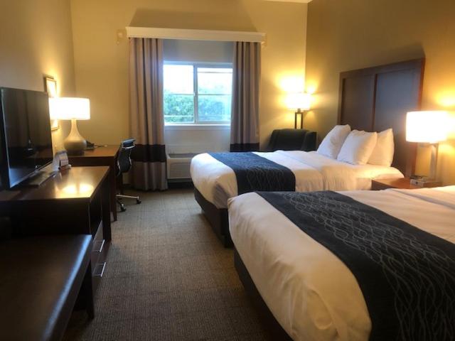 Queen Room with Two Queen Beds - Accessible/Non-Smoking at Comfort Inn & Suites Ukiah Mendocino County