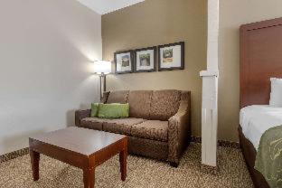 Room #29662209 at Comfort Suites Johnson City near University
