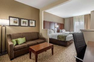 Room #29662209 at Comfort Suites Johnson City near University