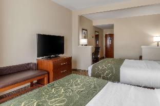 Room #29662209 at Comfort Suites Johnson City near University