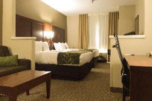Room #29662209 at Comfort Suites Johnson City near University