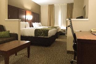Room #29662209 at Comfort Suites Johnson City near University