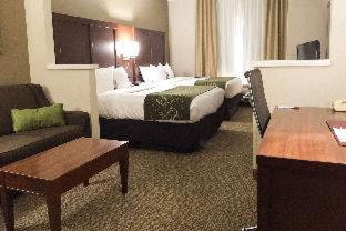 Room #29662209 at Comfort Suites Johnson City near University