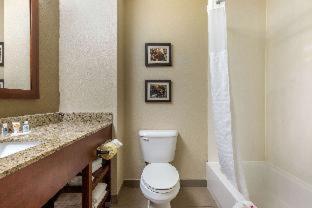 Room #29662210 at Comfort Suites Johnson City near University