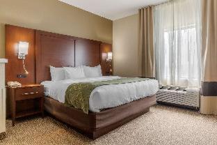 Room #29662210 at Comfort Suites Johnson City near University