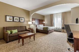 Room #29662210 at Comfort Suites Johnson City near University