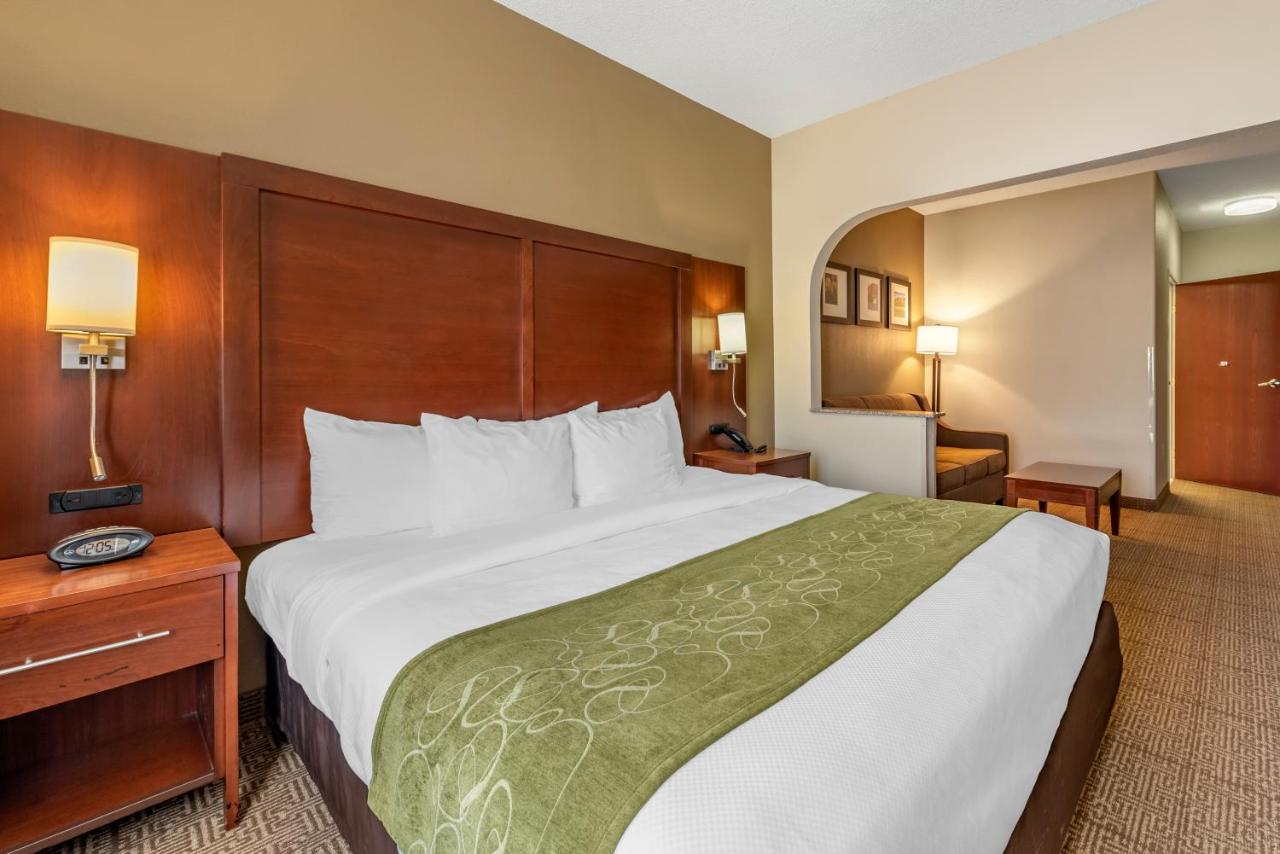 King Suite with Sofabed - Non-Smoking at Comfort Suites Castle Rock - Denver South