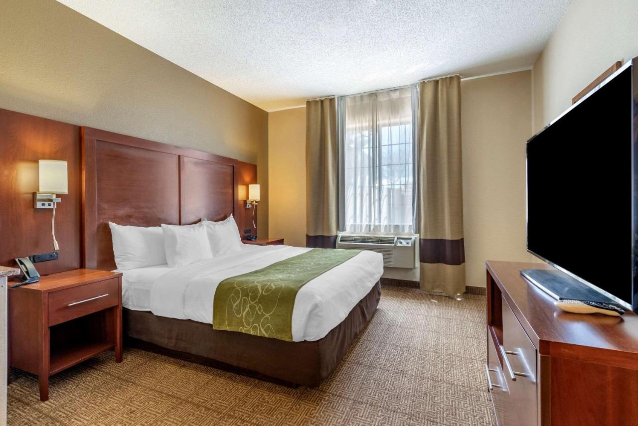 King Suite - Non-Smoking at Comfort Suites Castle Rock - Denver South