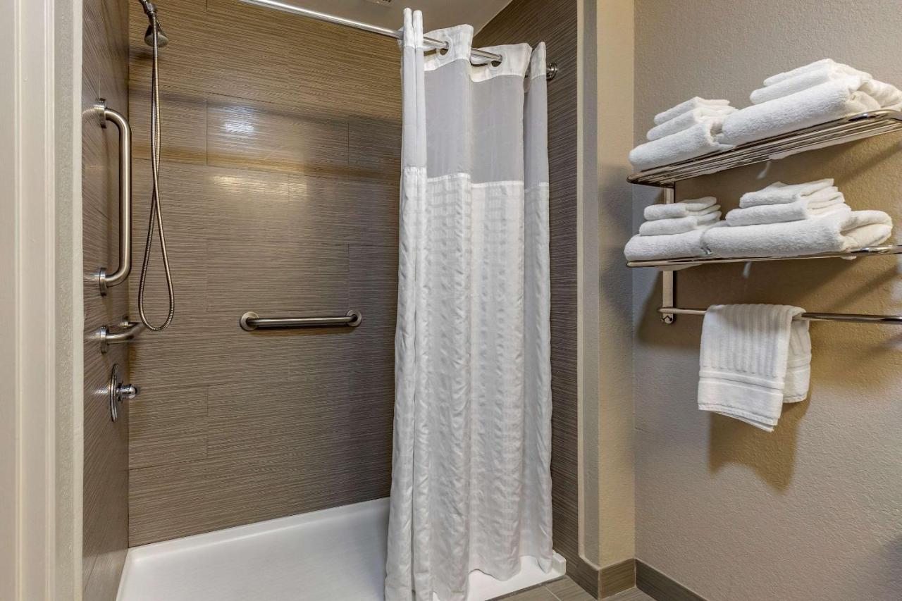 King Suite with Roll-In Shower - Accessible/Non-Smoking at Comfort Suites Pineville - Ballantyne Area