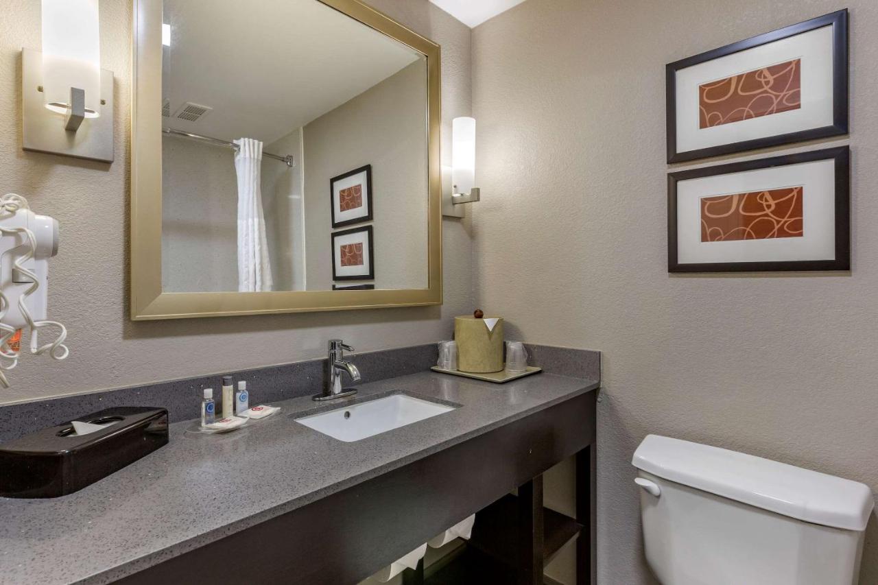 King Suite with Roll-In Shower - Accessible/Non-Smoking at Comfort Suites Pineville - Ballantyne Area