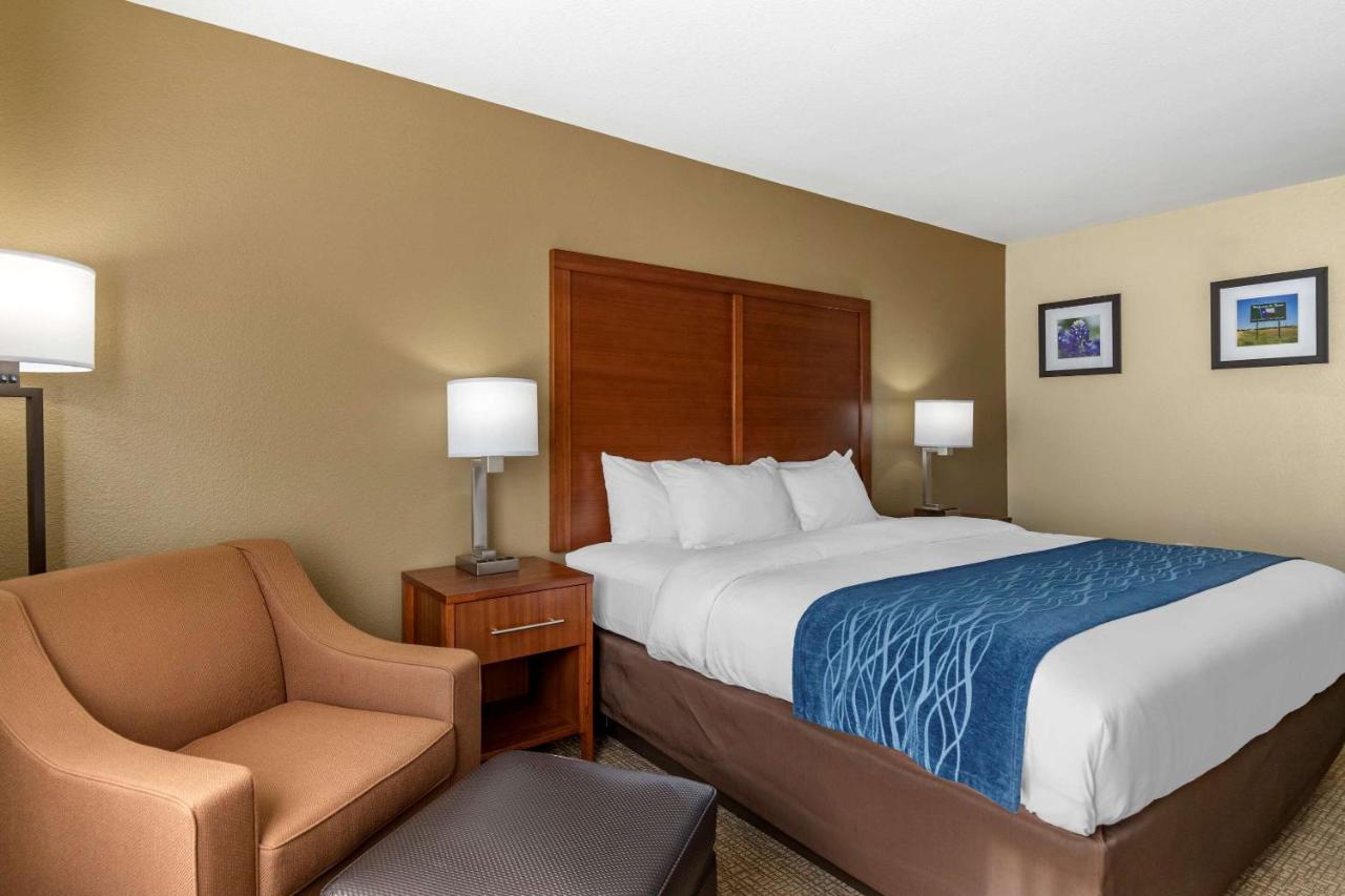 Efficiency King Room - Non-Smoking/Pet Friendly at Comfort Inn & Suites Texas Hill Country