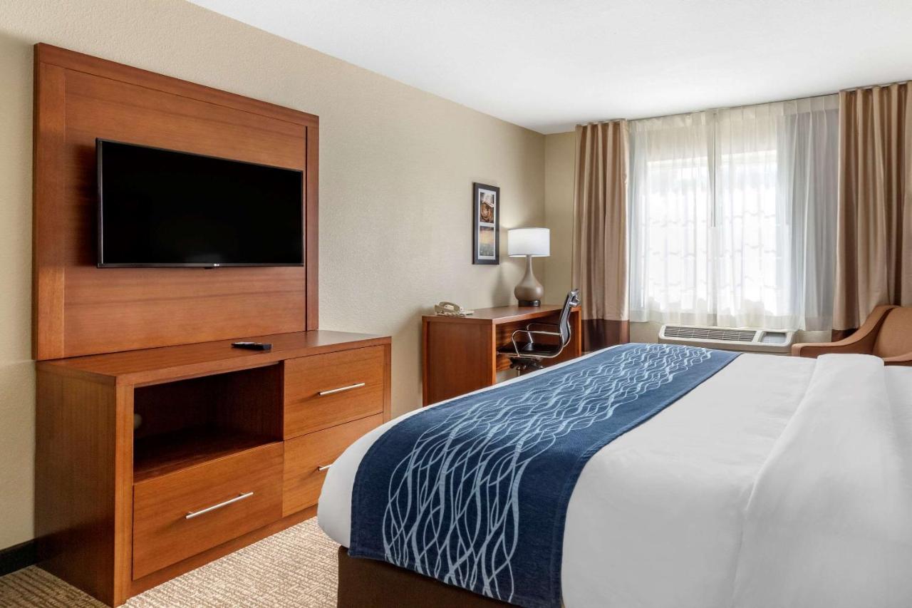 Efficiency King Room - Non-Smoking/Pet Friendly at Comfort Inn & Suites Texas Hill Country