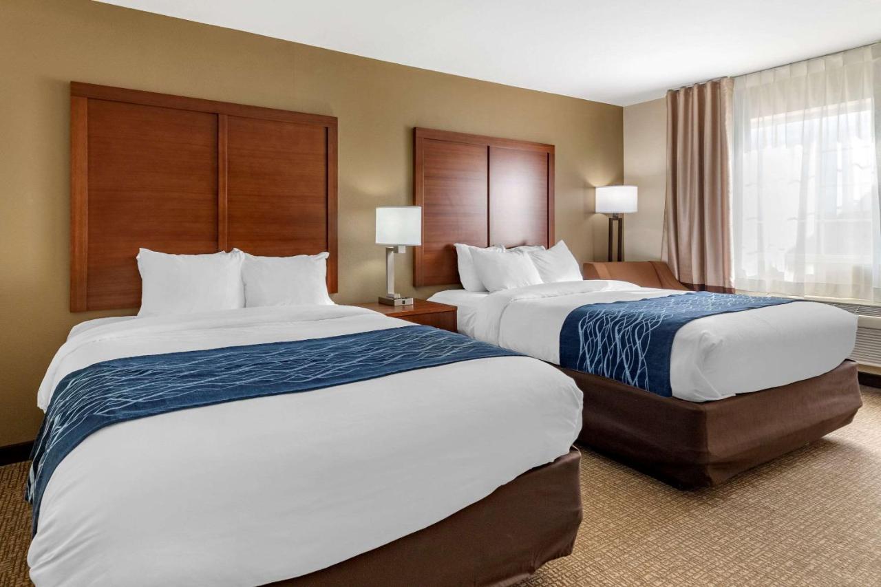 Queen Room with Two Queen Beds at Comfort Inn & Suites Texas Hill Country