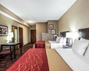 Room #48898615 at Comfort Inn & Suites Page at Lake Powell