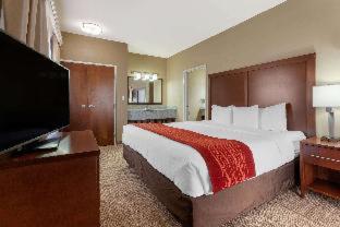 Room #48898617 at Comfort Inn & Suites Page at Lake Powell