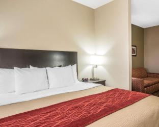 Room #48898617 at Comfort Inn & Suites Page at Lake Powell