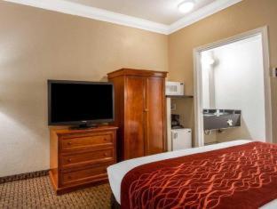 Room #48912112 at Comfort Inn and Suites San Francisco Airport North