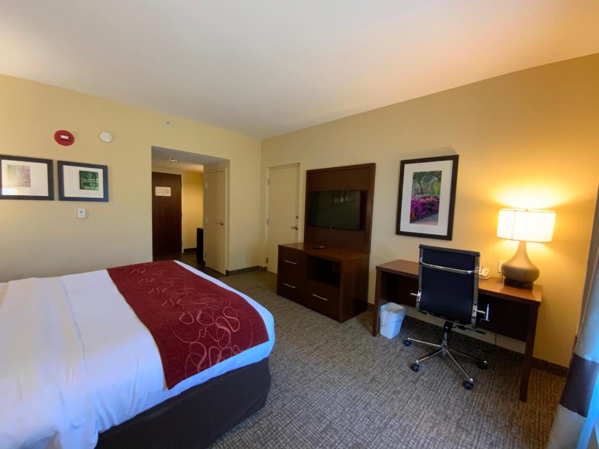 King Room - Accessible/Non-Smoking at Comfort Suites Fredericksburg North
