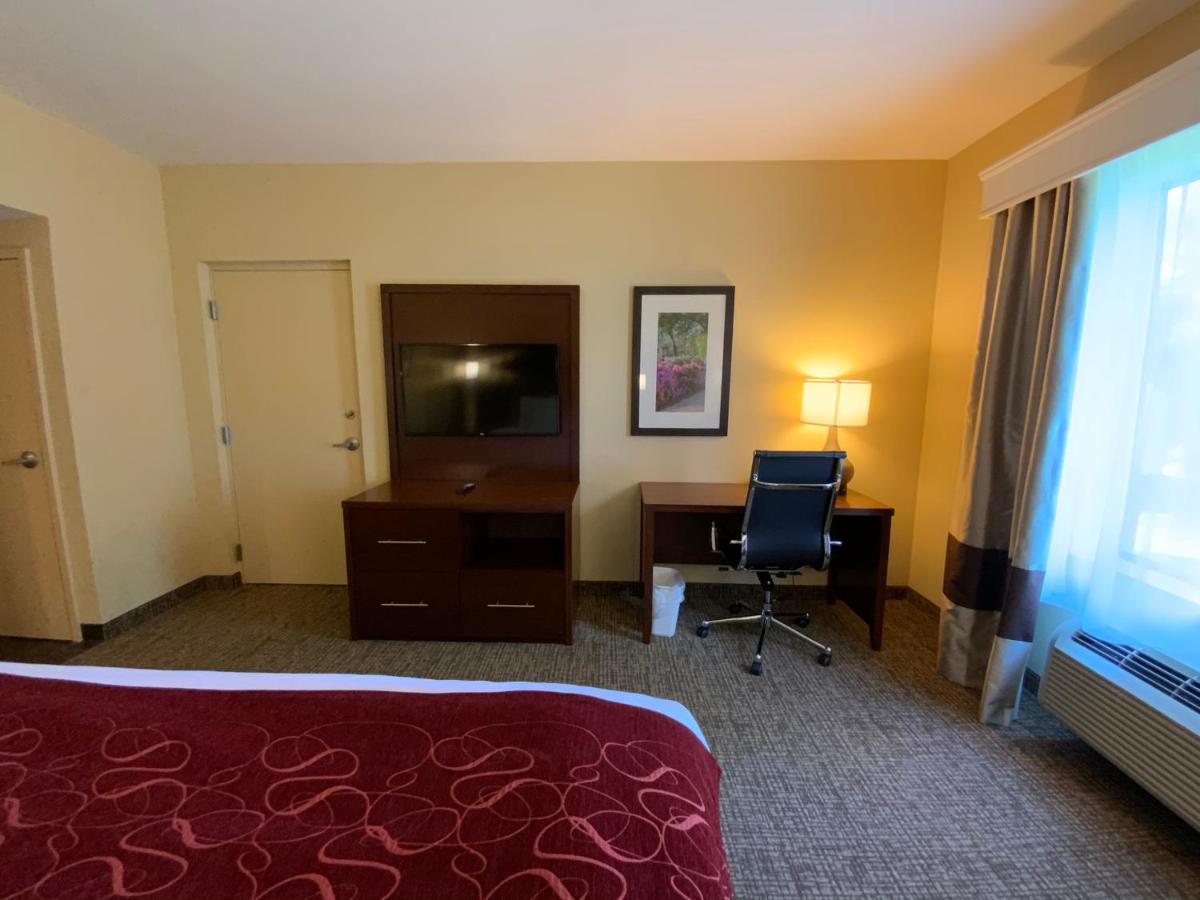 King Room with Roll-In Shower - Accessible/Non-Smoking at Comfort Suites Fredericksburg North
