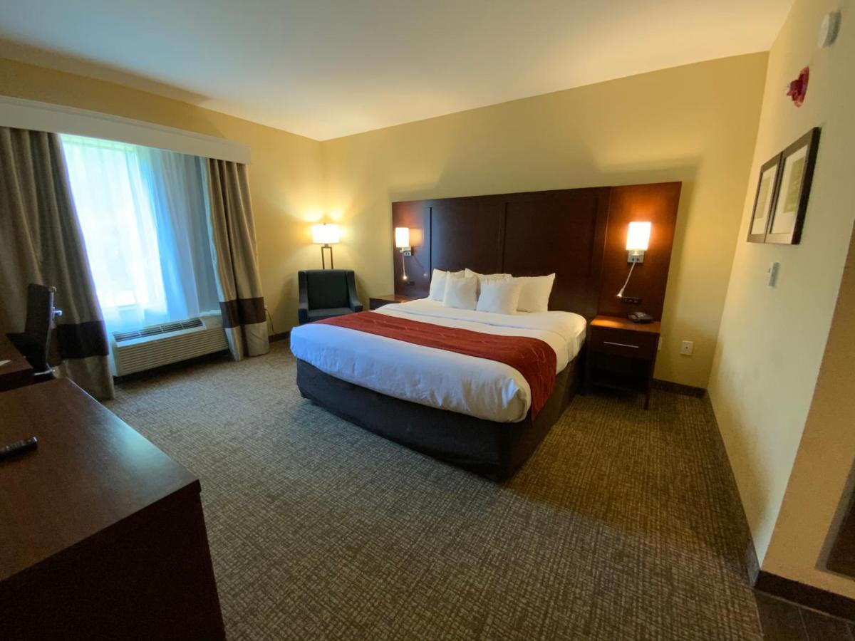 King Room with Roll-In Shower - Accessible/Non-Smoking at Comfort Suites Fredericksburg North