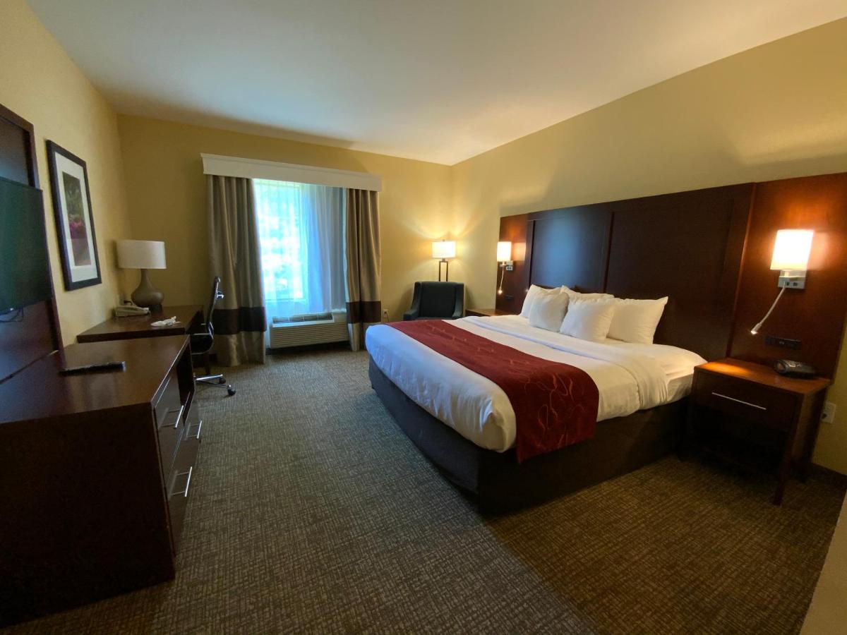 King Room with Roll-In Shower - Accessible/Non-Smoking at Comfort Suites Fredericksburg North