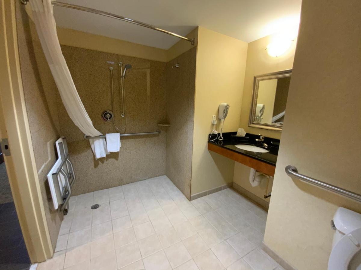 King Room with Roll-In Shower - Accessible/Non-Smoking at Comfort Suites Fredericksburg North