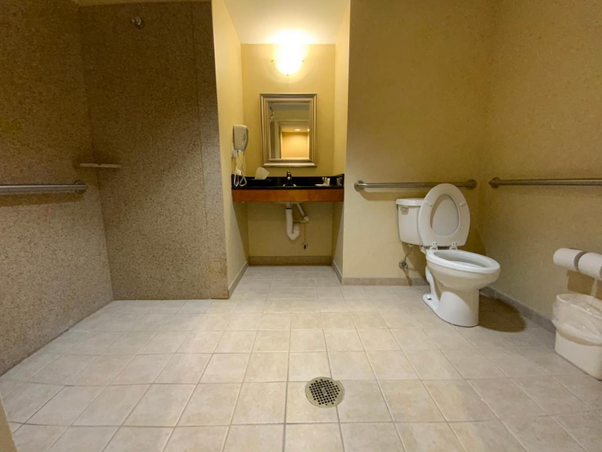 King Room with Roll-In Shower - Accessible/Non-Smoking at Comfort Suites Fredericksburg North
