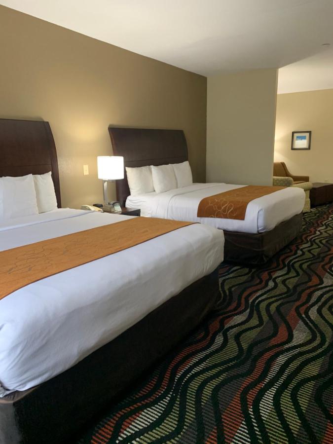 Suite with Two King Beds - Accessible/Non-Smoking at Comfort Suites Beaumont I-10