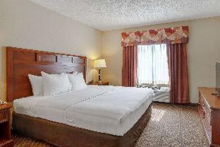 Room #18795409 at Quality Suites San Antonio Northeast