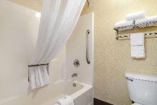 Room #18795409 at Quality Suites San Antonio Northeast
