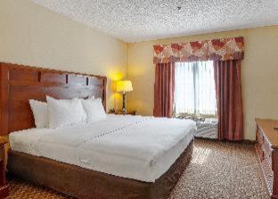 Room #18795409 at Quality Suites San Antonio Northeast