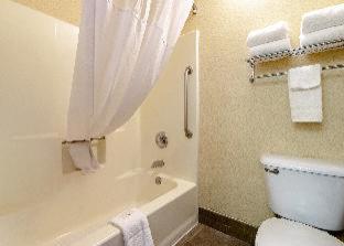 Room #18795410 at Quality Suites San Antonio Northeast
