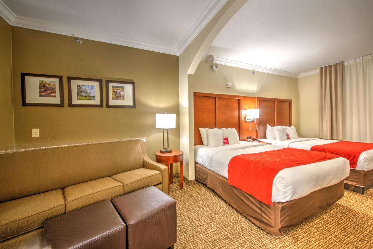 Queen Suite - Accessible/Non-Smoking at Comfort Suites Tomball Medical Center
