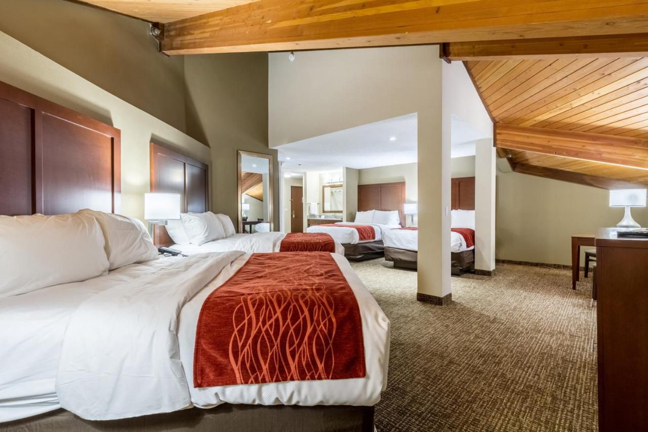 Queen Room with Two Queen Beds - Non-Smoking at Comfort Inn Norwalk - Sandusky