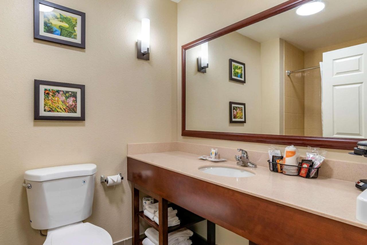 Queen Suite - Non-Smoking at Comfort Suites Niceville Near Elgin Air Force Base