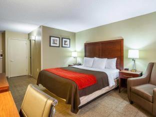 Room #2667308 at Comfort Inn Cleveland Downtown