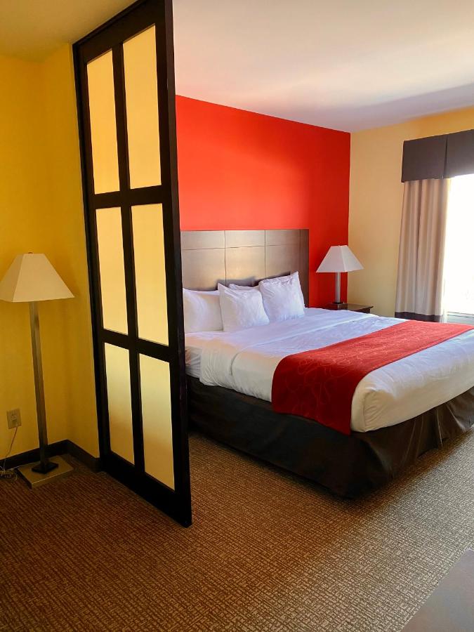 King Suite at Comfort Suites Rock Hill Manchester Meadows Area