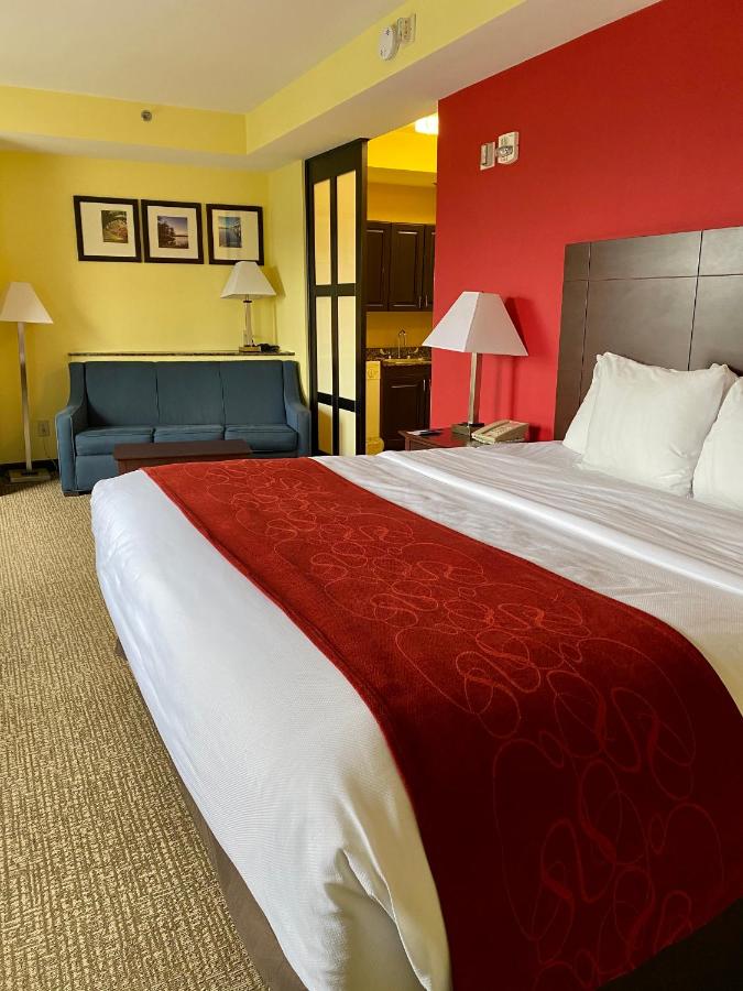 Efficiency King Suite - Accessible/Non-Smoking at Comfort Suites Rock Hill Manchester Meadows Area