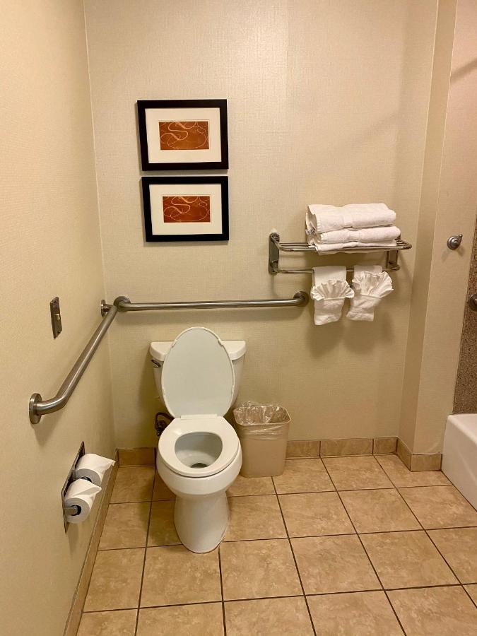 King Suite - Accessible/Non-Smoking at Comfort Suites Rock Hill Manchester Meadows Area