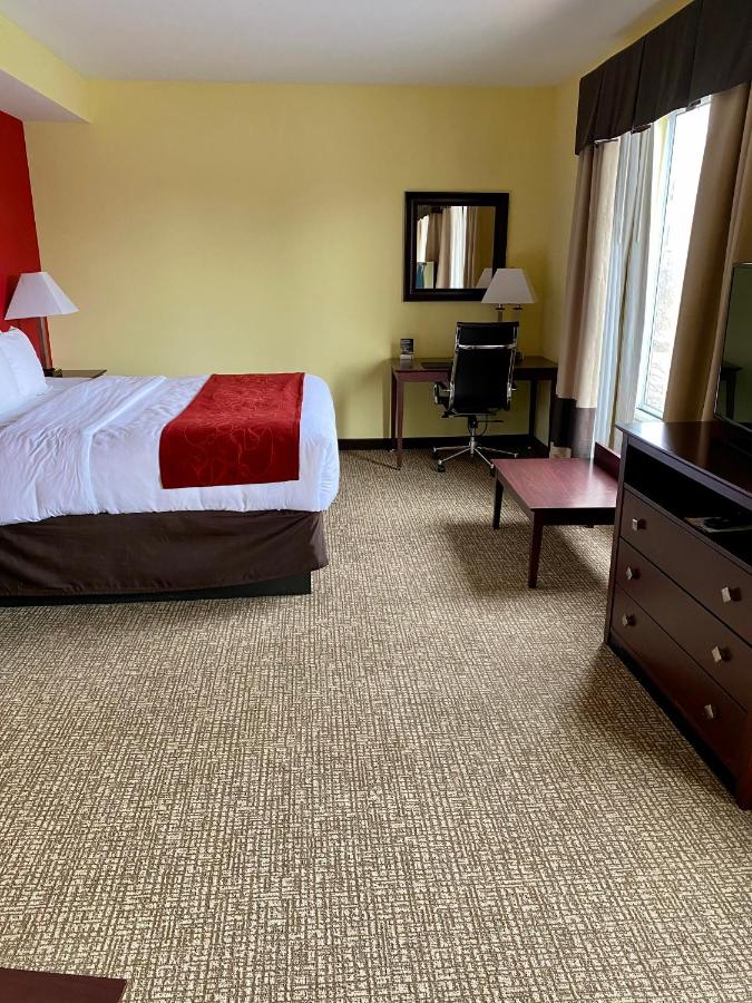 King Suite - Accessible/Non-Smoking at Comfort Suites Rock Hill Manchester Meadows Area