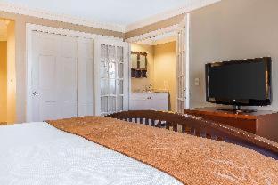 Room #5884620 at Comfort Suites Near Casinos Norwich-Uncasville CT