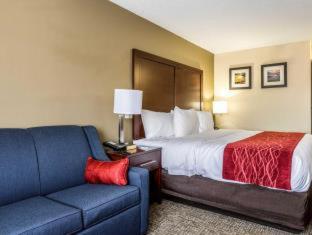 Room #29564010 at Comfort Inn Norwalk - Sandusky