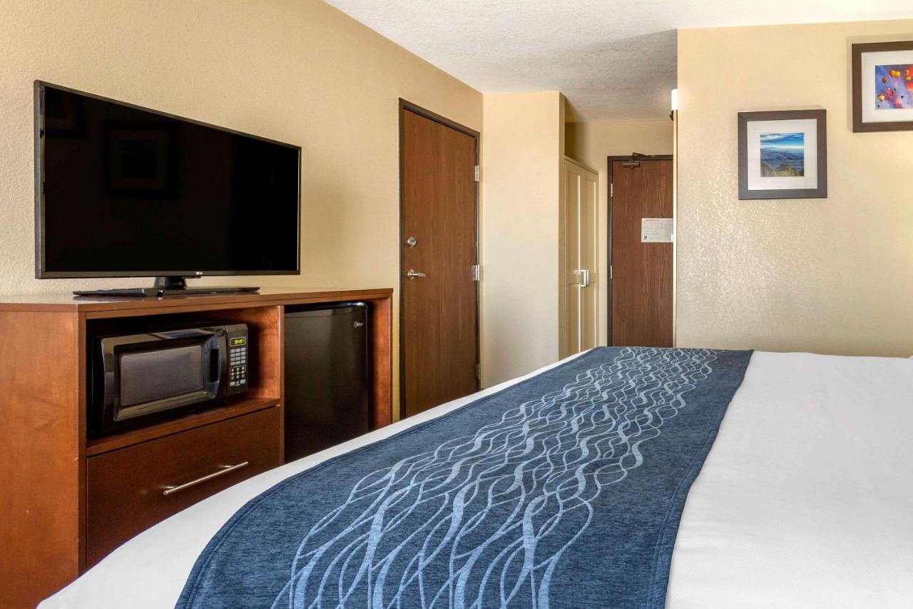 King Room at Comfort Inn & Suites Alameda at Albuquerque Balloon Fiesta Park
