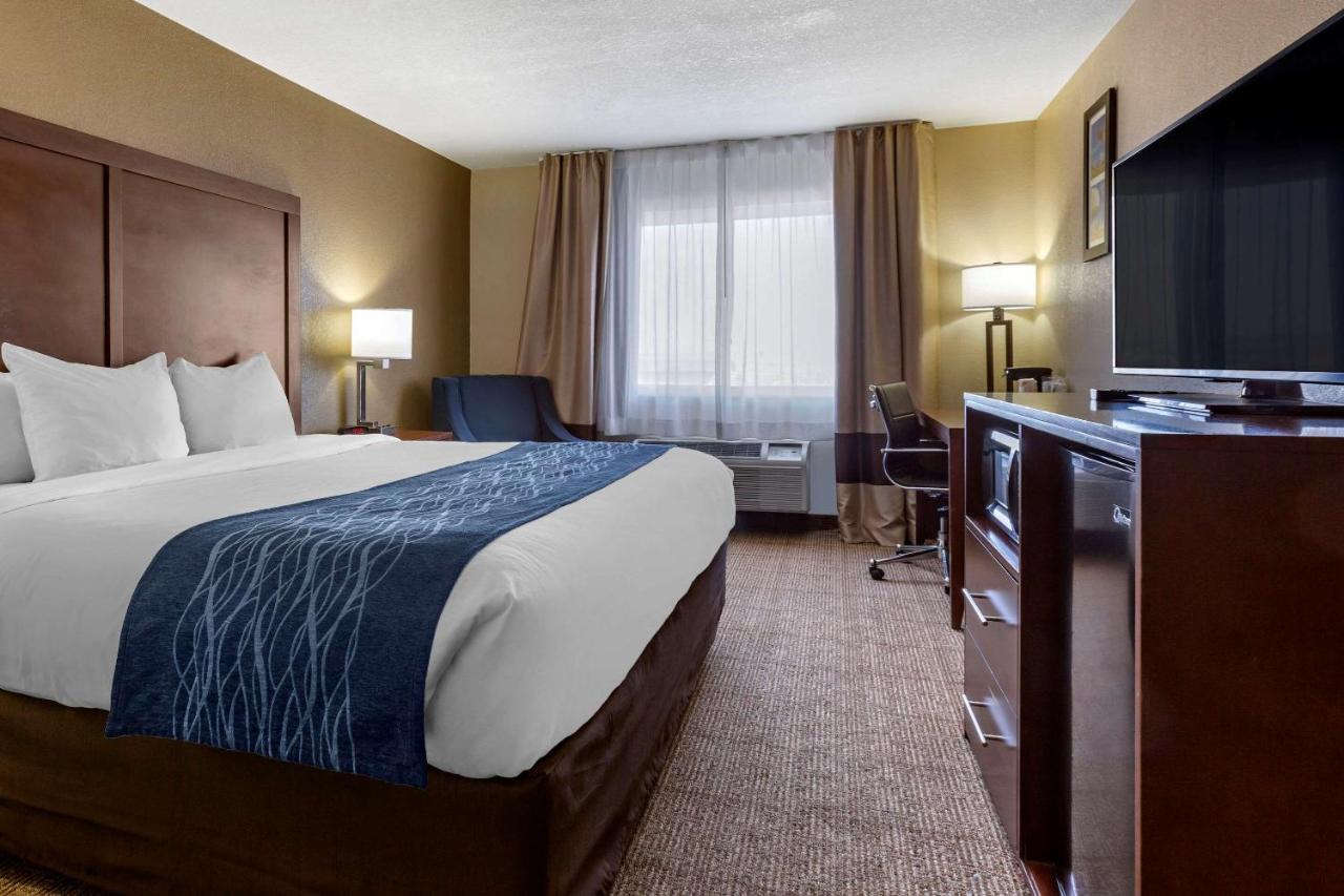 King Room at Comfort Inn & Suites Alameda at Albuquerque Balloon Fiesta Park