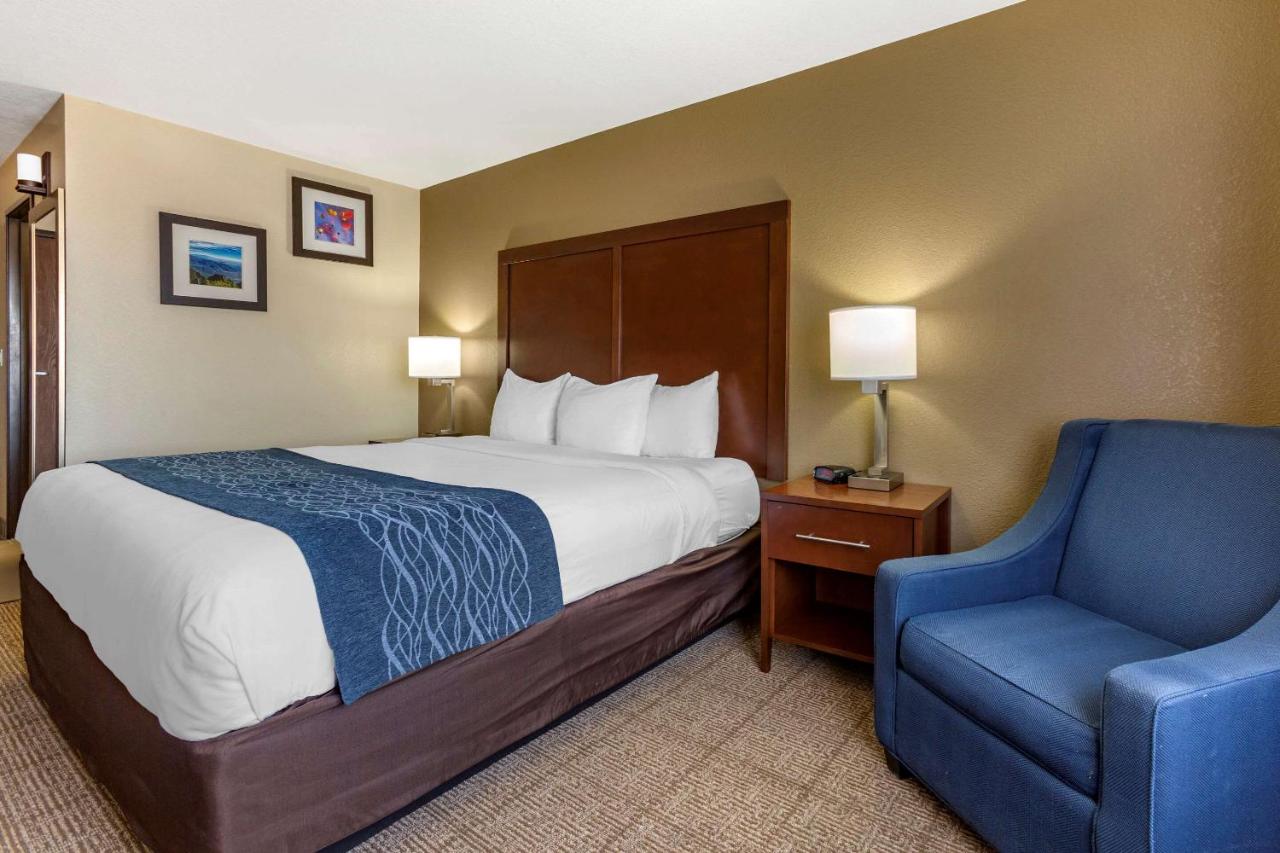 King Room at Comfort Inn & Suites Alameda at Albuquerque Balloon Fiesta Park