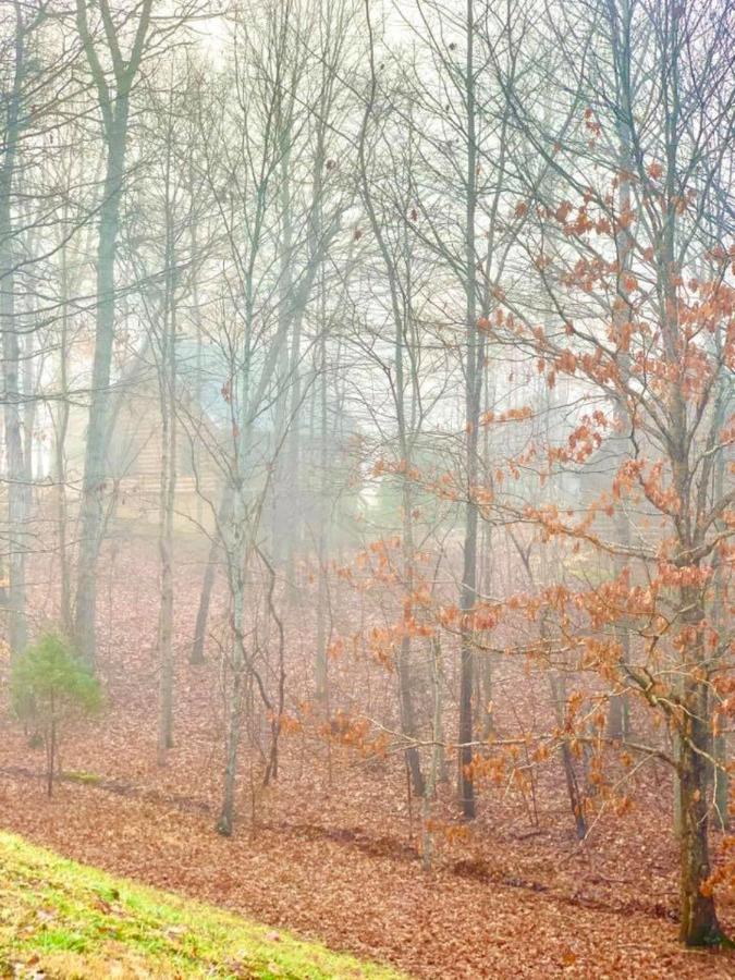 Family Suite - Accessible/Non-Smoking at Bluegreen Vacations Shenandoah Crossing, an Ascend Collection Resort